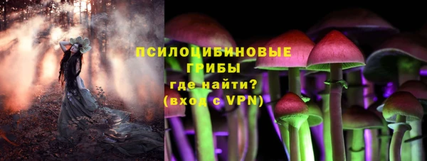 ГАЛЛЮЦИНОГЕННЫЕ ГРИБЫ Абдулино