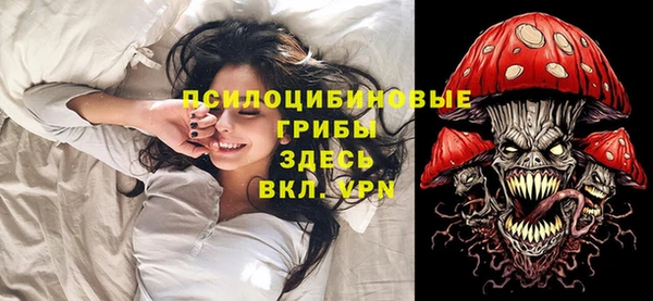 ГАЛЛЮЦИНОГЕННЫЕ ГРИБЫ Абдулино
