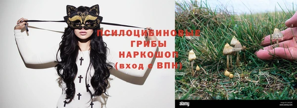 МДПВ Абаза