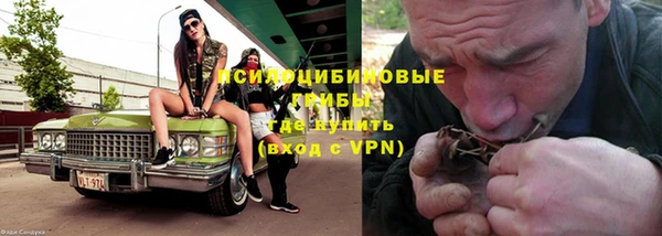 стафф Абинск