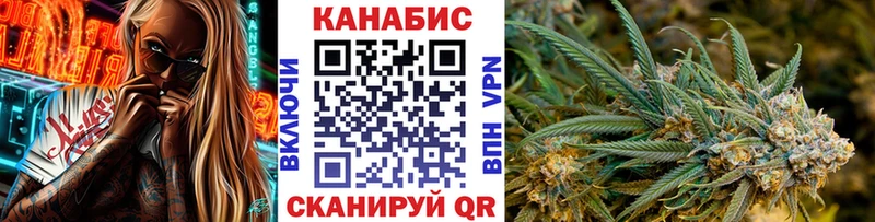 сколько стоит  Новопавловск  KRAKEN tor  Конопля SATIVA & INDICA 